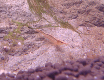 d0096356_04376.jpg