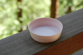 永塚夕貴さんの桜色のカップとお皿_d0087761_16292915.jpg