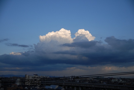 d0090161_2253673.jpg
