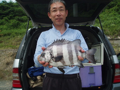 6月11日の釣果_a0077071_1871354.jpg