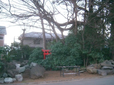 名前不明の稲荷神社：国分寺市光町_c0112172_2349454.jpg