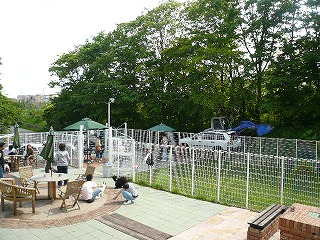 続きにございます～_d0104372_21382757.jpg