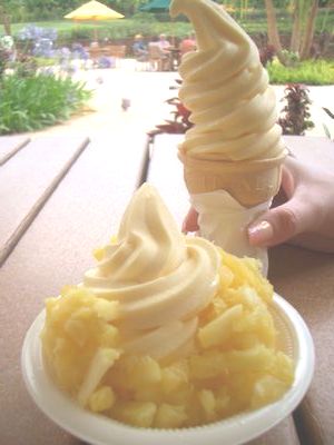 Stopped by 『Dole Plantation』 on our way to North Shore☆_c0019473_2022383.jpg