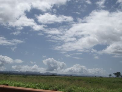 Stopped by 『Dole Plantation』 on our way to North Shore☆_c0019473_20262095.jpg