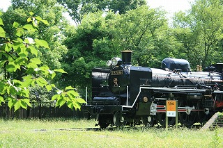 a0035678_21523529.jpg