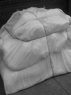 f0100480_93391.jpg