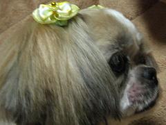 c0077283_20224440.jpg
