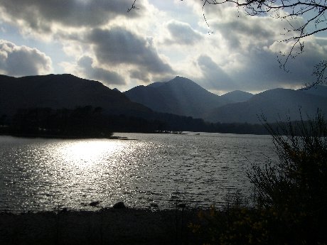 f0046489_47419.jpg