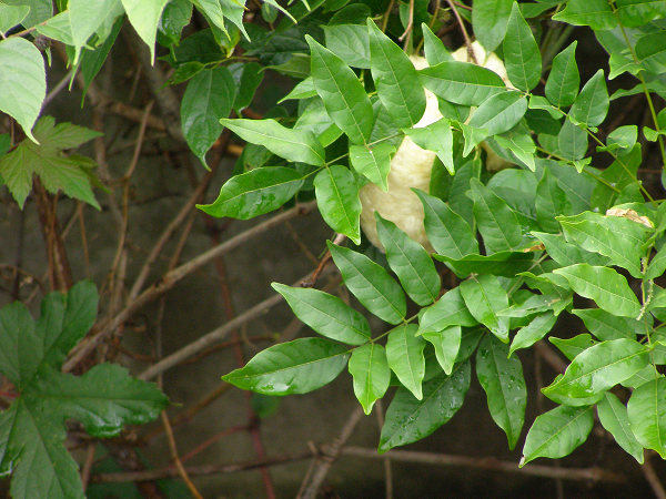 d0120803_0151244.jpg