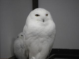 e0000408_22264797.jpg