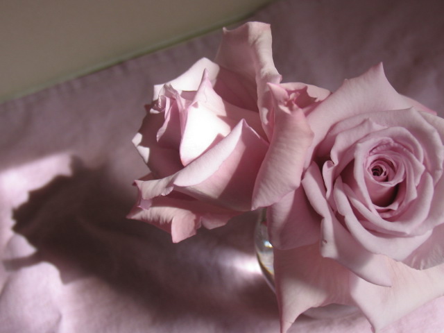f0134909_1444114.jpg