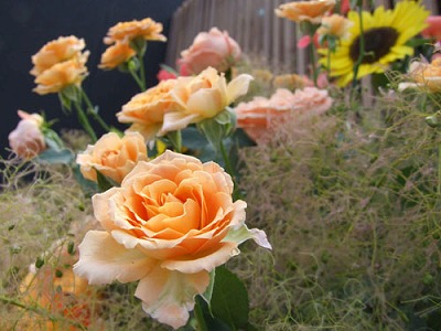 a0098510_12222545.jpg