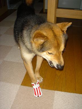 f0086814_21192471.jpg