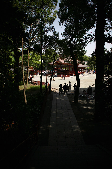 c0039630_464582.jpg