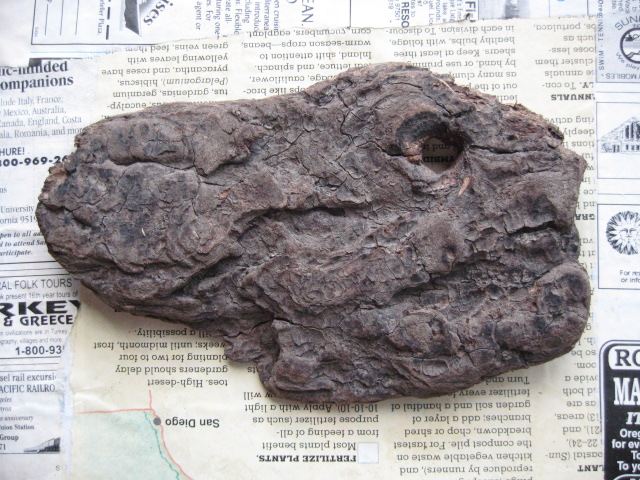 d0101846_9542818.jpg