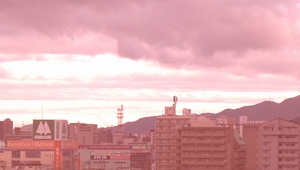 d0083265_036638.jpg