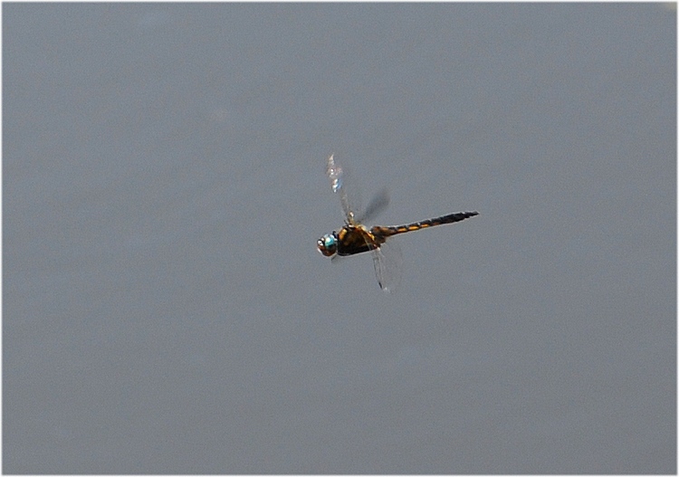f0088971_2012142.jpg