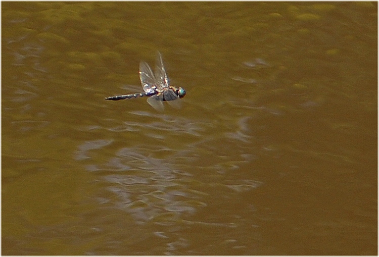 f0088971_2025392.jpg