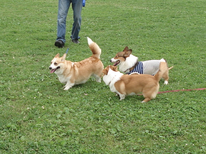 f0075595_0122378.jpg