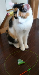 f0120698_7163589.jpg