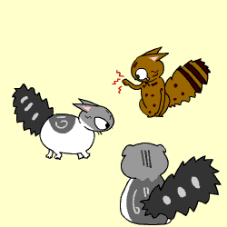 c0011300_9143899.gif