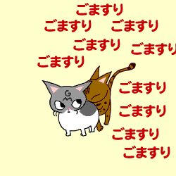 c0011300_9163170.gif