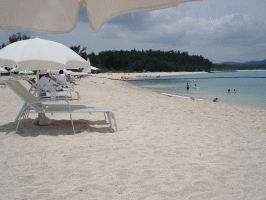 f0063944_11233117.gif