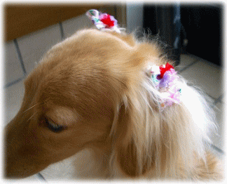 c0025852_1313452.gif
