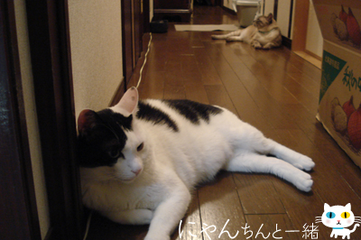 ちょっと運動すると、すぐダラダラ…_e0031853_11191877.jpg