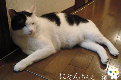 ちょっと運動すると、すぐダラダラ…_e0031853_11203045.jpg
