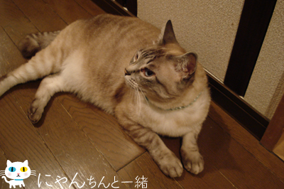 ちょっと運動すると、すぐダラダラ…_e0031853_1120946.jpg