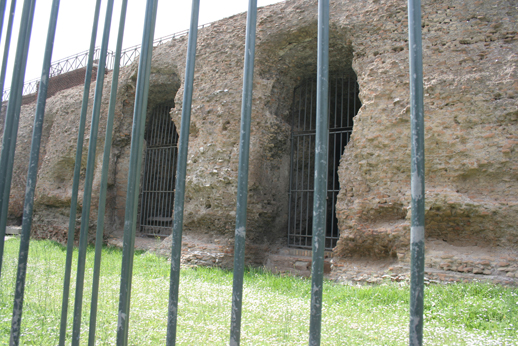 e0027083_835687.jpg