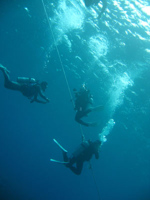 a0087302_212138.jpg
