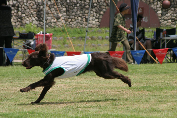 d0037627_23454692.jpg