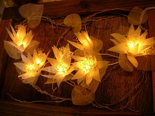続白花の照明_c0102228_8495412.jpg
