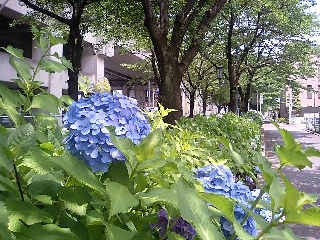 e0091334_21395246.jpg
