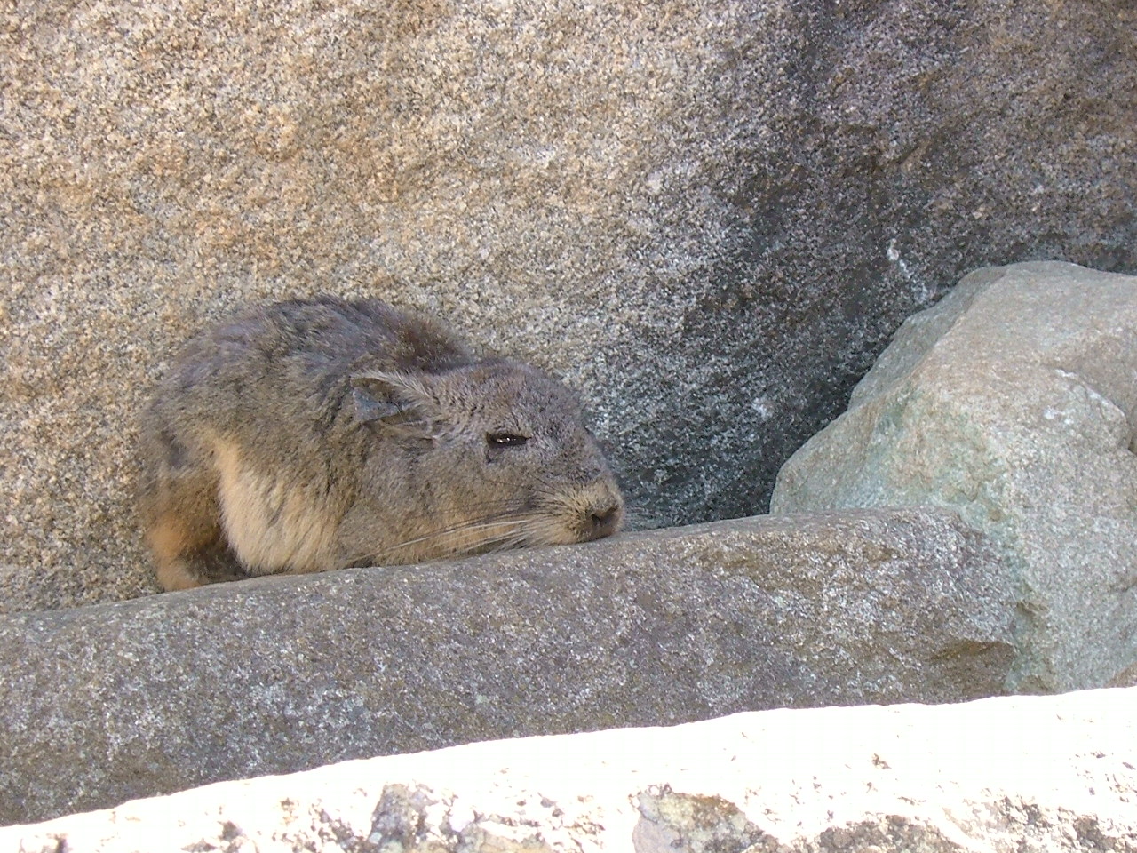 machupicchu_f0131834_1173499.jpg