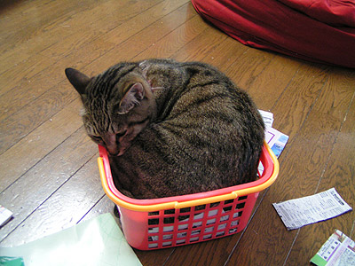 久しぶりの狭いって！　ｂｙココアさん_a0028451_21513861.jpg