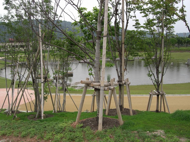 八色も森公園_a0084753_16584752.jpg