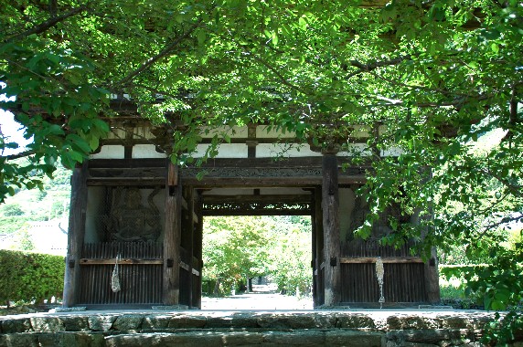 　　長保寺（ちょうほうじ）　　２０２４-０５-２５　００：００_b0093754_23425038.jpg