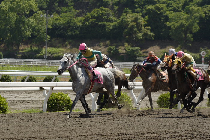 2007年6月10日（日） 高知競馬 6R_a0077663_22434270.jpg