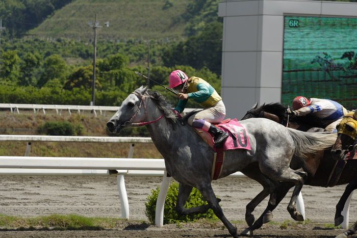 2007年6月10日（日） 高知競馬 6R_a0077663_22435465.jpg