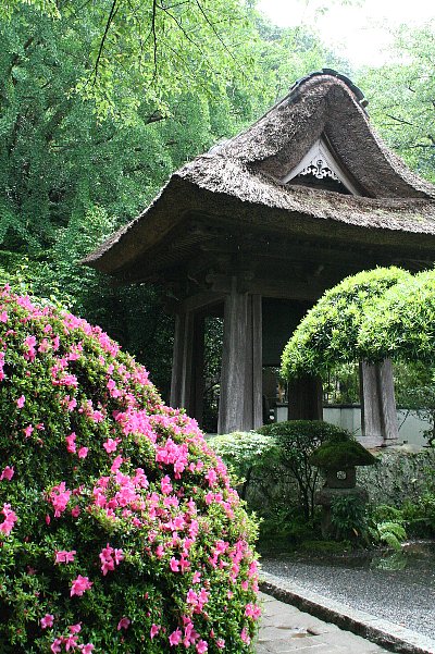 竹の寺　　報国寺_f0103667_11332720.jpg