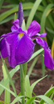 c0122270_17512762.jpg