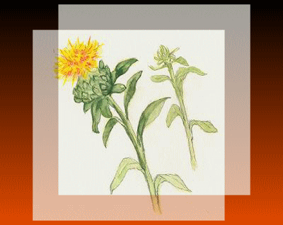 d0028304_11251512.gif