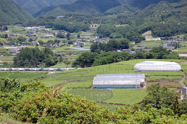 ぶどう畑のある風景_c0091505_19125660.jpg