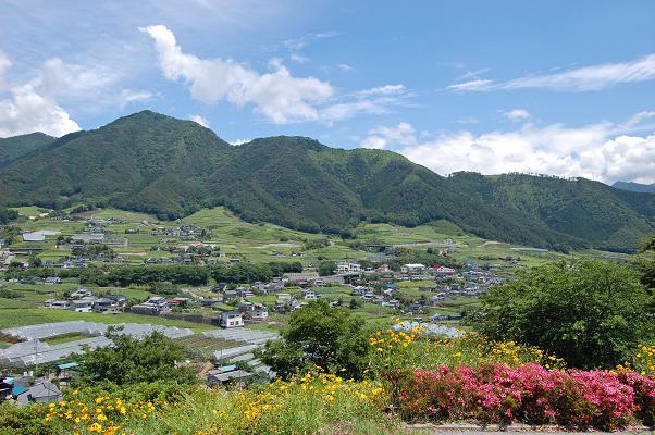 ぶどう畑のある風景_c0091505_1943038.jpg