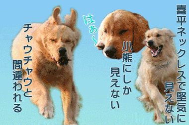 e0072606_12315177.gif