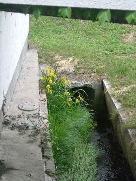 f0113109_8585465.jpg