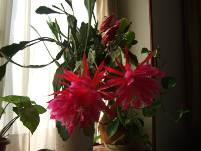 b0045357_34383.jpg
